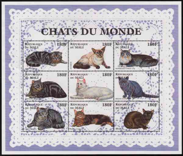 Chats du Monde