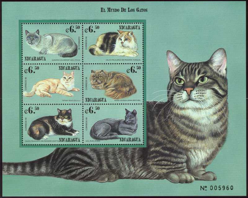 El Mundo de los Gatos