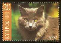 First Domesticated Cats