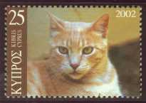 First Domesticated Cats