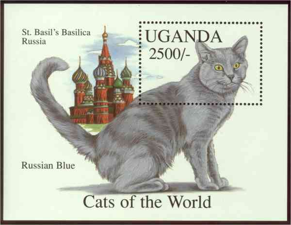Russian Blue